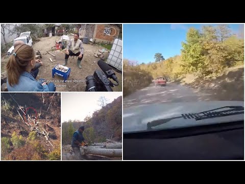 Видео: Истражување за пустошење на шумите: се бркавме со дрвокрадци на Китка, сведочевме на нелегална сеча