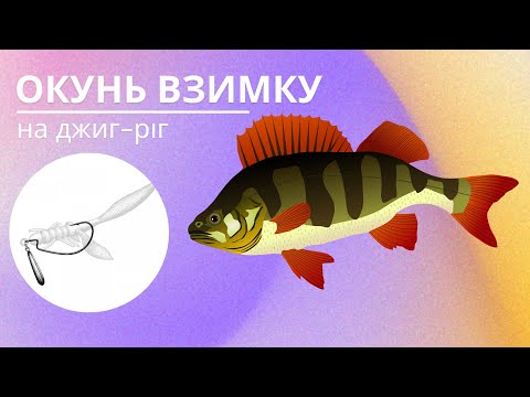 Видео: ОКУНІ ВЗИМКУ на ДЖИГ-РІГ  Риболовля спінінгом на ОКУНЯ в січні