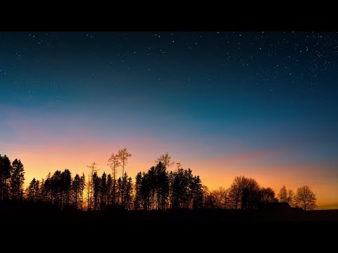 Видео: Скайп-беседа с Лакшми 06.02.2023