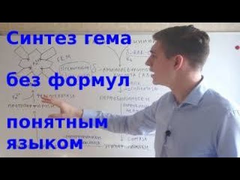 Видео: Синтез гема и порфирии