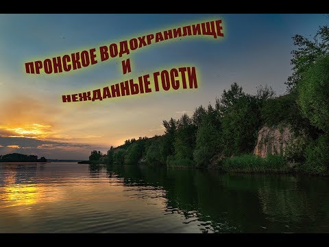 Видео: Пронское водоОхранилище - место, где спиваются добрые люди