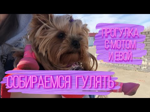 Видео: Что я беру на прогулку для Евы | Собираемся гулять