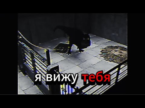 Видео: ДИНОЗАВРЫ ОЖИЛИ!!! (Prehistoric Emergence)
