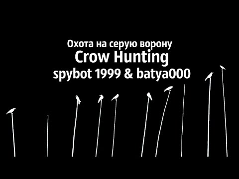 Видео: Russian hunting. Crow Hunting. Чисто карловский день.