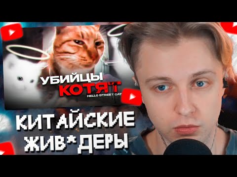 Видео: СТИНТ СМОТРИТ: Китайские Живодёры - Hello Street Cat