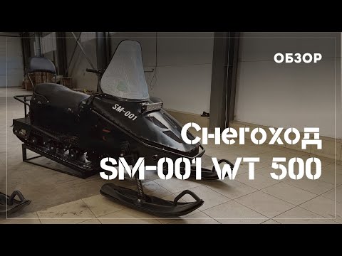 Видео: Обзор снегохода СМ-001 WT 500