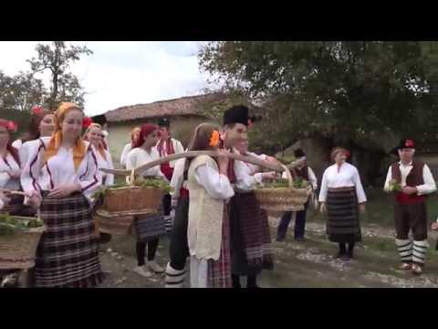 Видео: Трифон Зарезан, Община Смядово