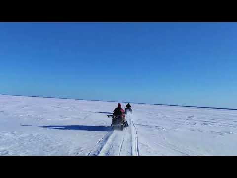 Видео: Прогулка до Косьвы  Снегоходы Хома 600 и Stels Stavr