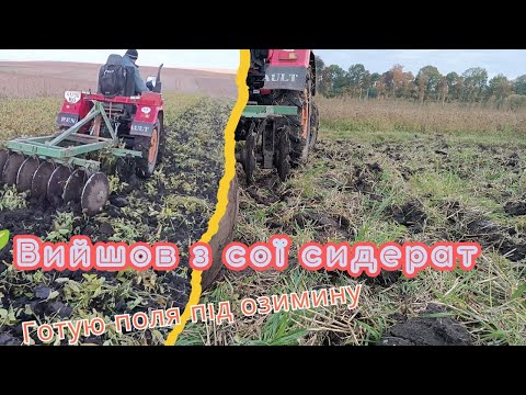 Видео: 🌱Дискую сою другого посіву на сидерат: Борона бомет місить болото))🤦