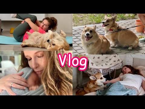 Видео: 🤱🏽БУДЕМ ПЕРЕЕЗЖАТЬ В ГОРОД ? МОЙ КОМПАНЬОН 😛 VLOG