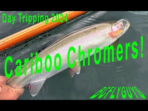 Видео: Нахлыстовая рыбалка в тихой воде: Cariboo Chrome — глубокие приманки для серебристых пуль Rainbow...
