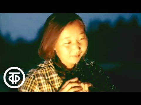Видео: Баргузинское лето. Документальный фильм (1980)