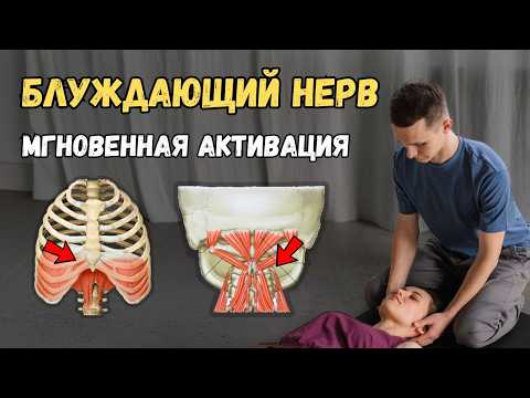 Видео: БЛУЖДАЮЩИЙ НЕРВ - ПРИЧИНА ВАШИХ ПРОБЛЕМ! ✅ Простые ТЕХНИКИ ВОССТАНОВЛЕНИЯ