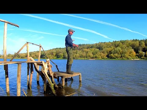 Видео: СИЛЬНЫЙ ВЕТЕР, НО РЫБА КЛЮЁТ. Рыбалка на ОКЕ на ОТВОДНОЙ ПОВОДОК.