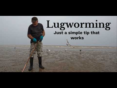 Видео: Всего несколько полезных советов для достижения успеха в борьбе с гельминтозами