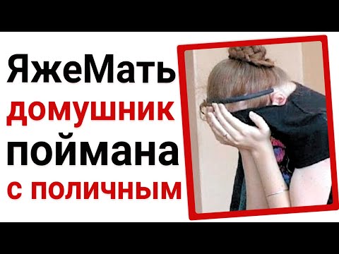 Видео: Яжемать домушник была поймана с поличным