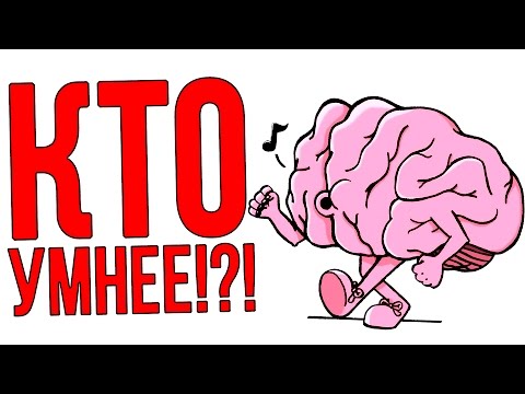 Видео: КТО УМНЕЕ ШИМОРО ИЛИ ЕГО ДЕВУШКА?