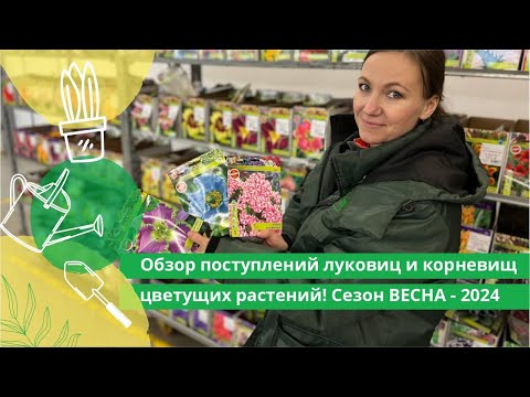 Видео: Обзор поступлений луковиц и корневищ цветущих растений! Сезон ВЕСНА-2024