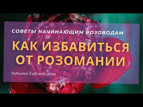 Видео: Советы начинающим розоводам.