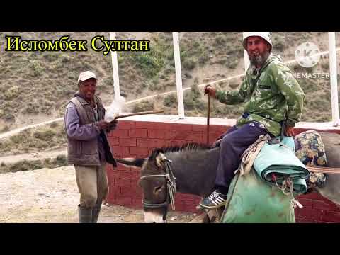 Видео: 12- Қисим Нуробод то Рогун Гиссариский овец на перегоне 👍🇹🇯 2024 г.