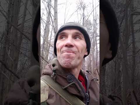 Видео: 2 октября 2025 г.