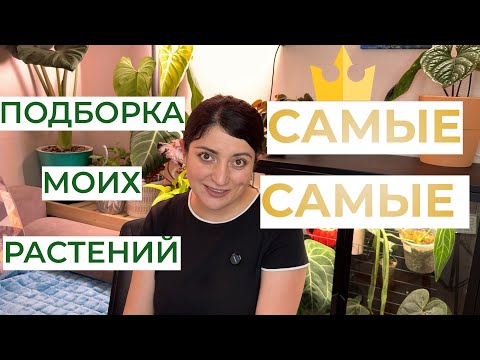 Видео: Подборка моих самых самых растений