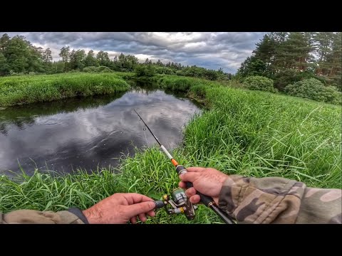 Видео: РЫБАЛКА В ШАТУРЕ НА РЕЧКЕ. РЫБА МОЕЙ МЕЧТЫ.