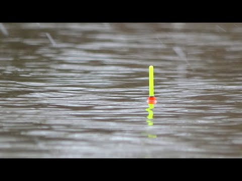 Видео: ЗАКИНУЛ ПОПЛАВОК И СРАЗУ КЛЮЁТ. ОДИН НА РЕКЕ. Зимняя рыбалка на поплавок и донку. Поплавочная удочка
