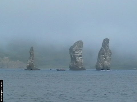 Видео: Что скрывает Авачинская бухта. Взгляд с воды.