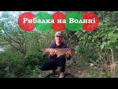 Видео: Процес ловлі крупняка. Рибалка на озері Волині
