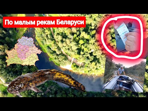 Видео: По притокам Западной Двины. Лучёса. Анализ воды. Малые реки Беларуси