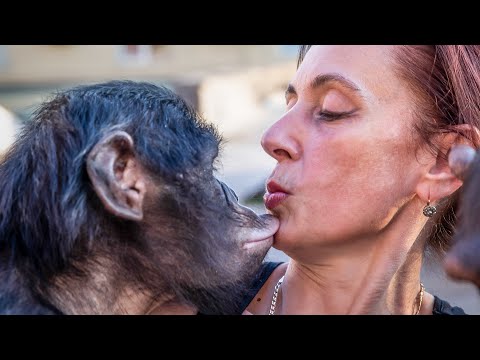 Видео: МАРИЦА ЗАПАШНАЯ пришла в ГОСТИ, а Я ОБЛАЖАЛСЯ в конце ВИДЕО! У ШИМПАНЗЕ Бони новые ТЯГИ))