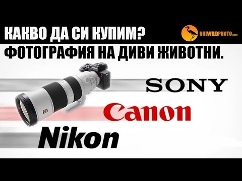 Видео: Каква техника да си купим? SONY, CANON, NIKON | Фотография на диви животни.