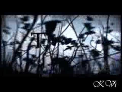 Видео: Тайный круг - Монстр хай