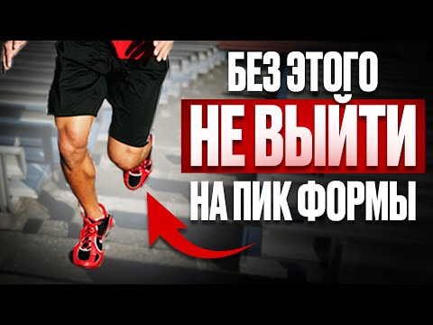 Видео: Как правильно тренироваться новичку, опытному спортсмену и ветерану — ты обязан это знать