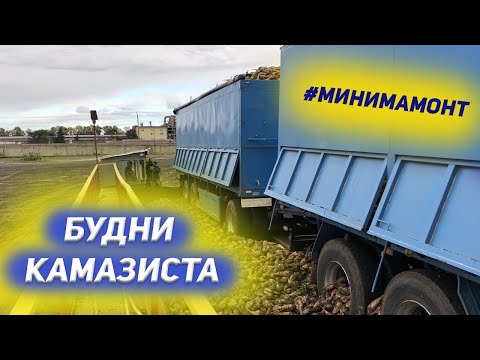 Видео: Будни КАМАЗИСТА на свекле/ Анализ масла