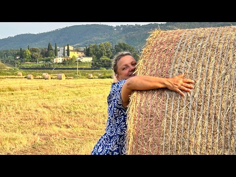 Видео: #Тоскана#рецепт итальянских спагетти,поход к соседям🇧🇾🇮🇹