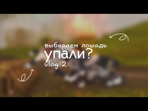 Видео: RRP VLOG | УПАЛИ? | STAR STABLE ONLINE