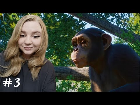 Видео: Купили шимпанзе➤Planet Zoo #3
