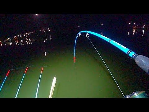 Видео: СОМЫ!💥САЗАНЫ!💥РАЗВОРАЧИВАЮТ ЛОДКУ!!!  РЫБАЛКА НА СОМА И САЗАНА