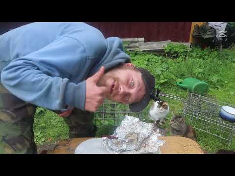 Видео: КУХНЯ ОТШЕЛЬНИКА. ПРЕСНАЯ РЫБА С СОУСОМ ТЕРИАКИ, ЛИМОНОМ И ЧЕСНОКОМ..