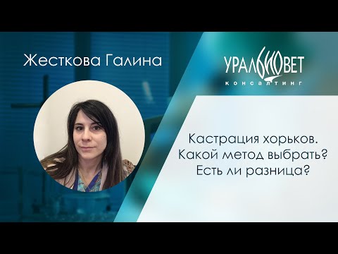 Видео: Кастрация хорьков. Какой метод выбрать? Лектор Жесткова Галина #убвк_экзотические_животные
