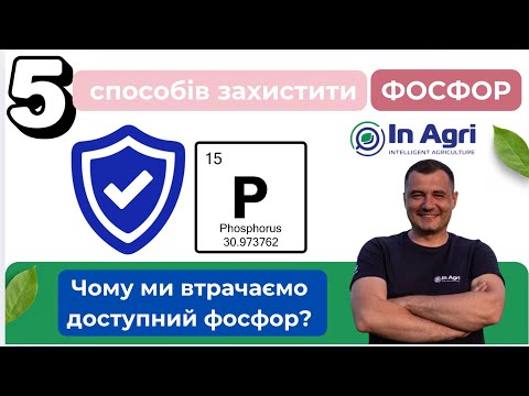 Видео: 5 способів захистити фосфор - InAgri