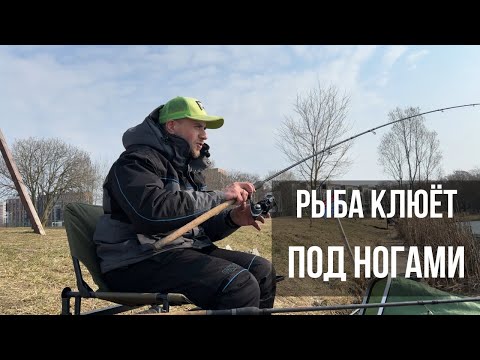 Видео: РЫБА КЛЮЕТ ПОД НОГАМИ! Рыбалка на фидер ранней весной! Простые советы для начинающих рыбаков