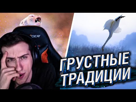 Видео: Hellyeahplay смотрит: Худшие Традиции Животных, Которые Заставят Тебя Грустить
