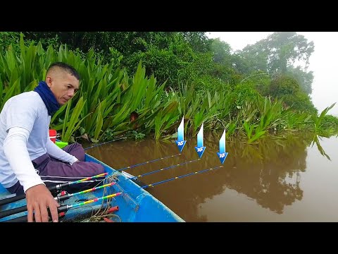 Видео: Ловля креветок. Удивительные атаки креветок в этой реке
