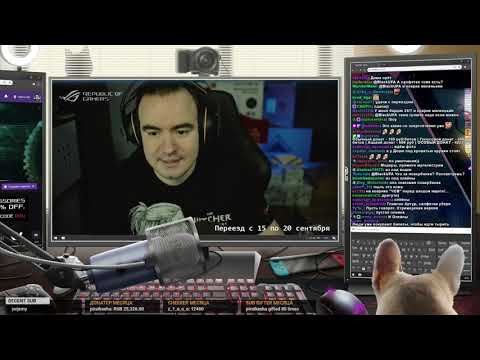Видео: 4D -  Без агрессии (Нарезка со стрима)