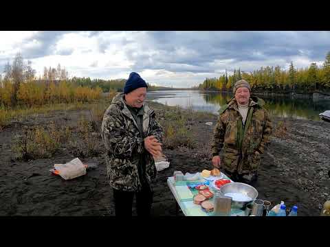 Видео: Келе Осень 2022г