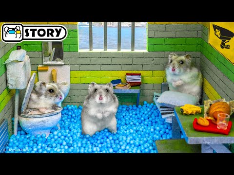 Видео: 🐹 Хомяк сбегает из лабиринта Тюрьма Алькатрас 🐹 Хомура Хам Питомцы