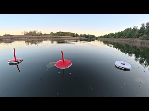 Видео: Рыбалка на кружки и спиннинг. Ловля щуки осенью на лесном озере.